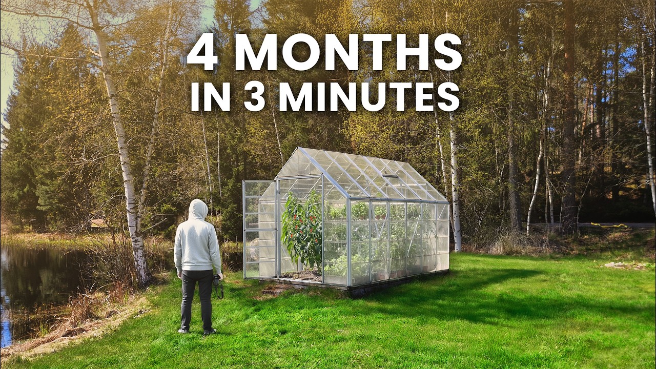 I Filmed My Greenhouse For 4 Months │ Time-lapse