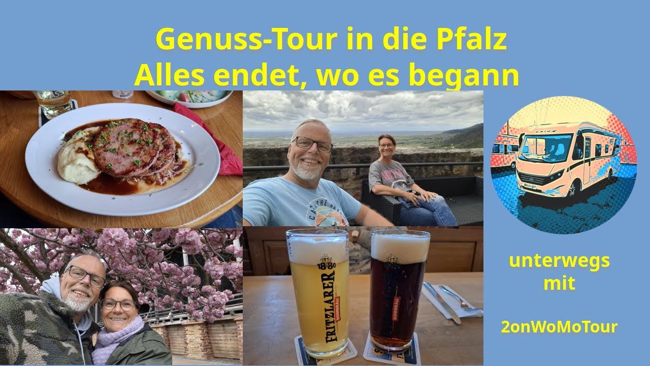 Genusstour in die Pfalz 🚐🍷 | Wohnmobilreise Teil 4 | Wein, Stellplätze & Pfälzer Lebensfreude