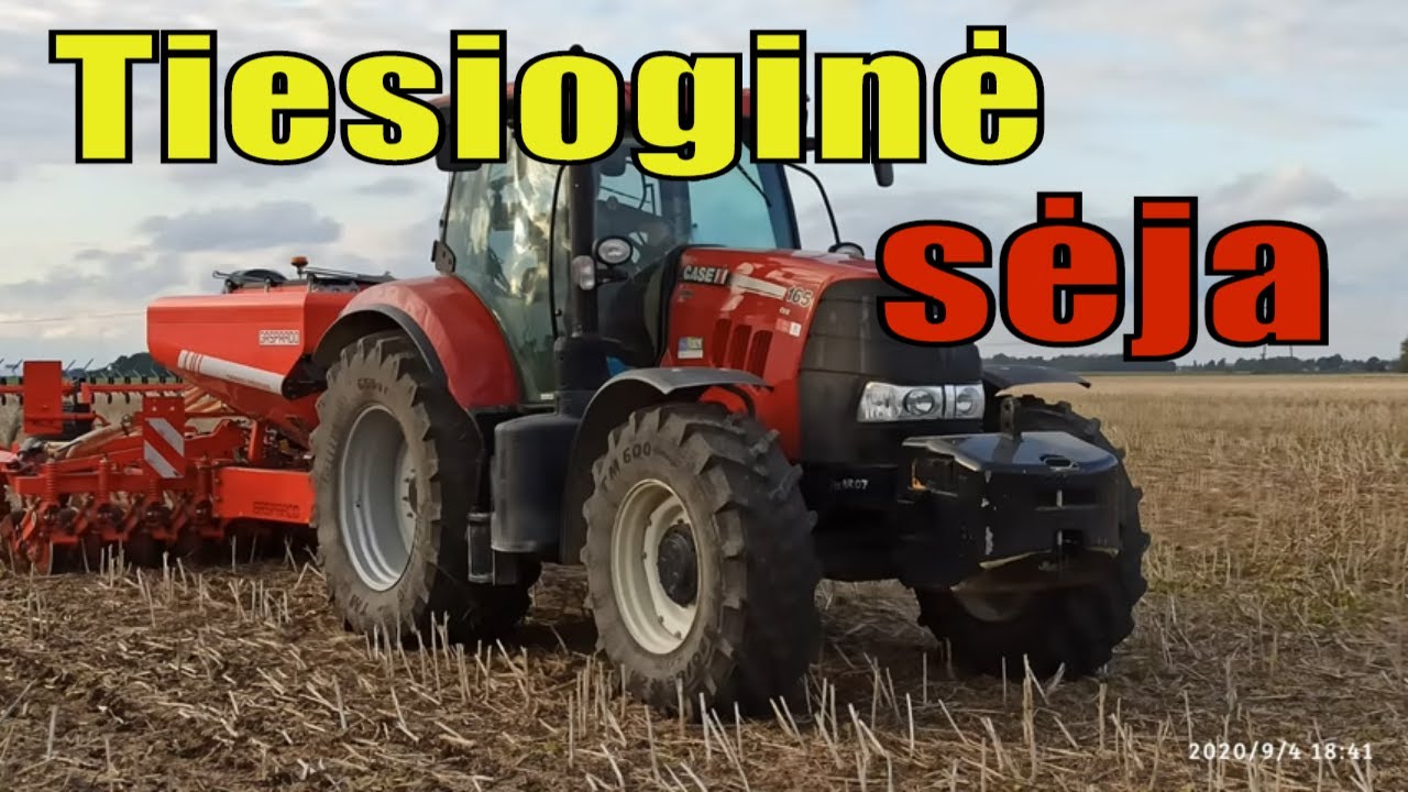 Kviečių sėja Lietus posėlio apžvalga