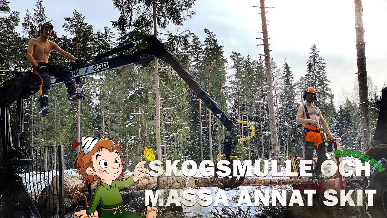 3 SKOGSMULLAR I EN SKOG