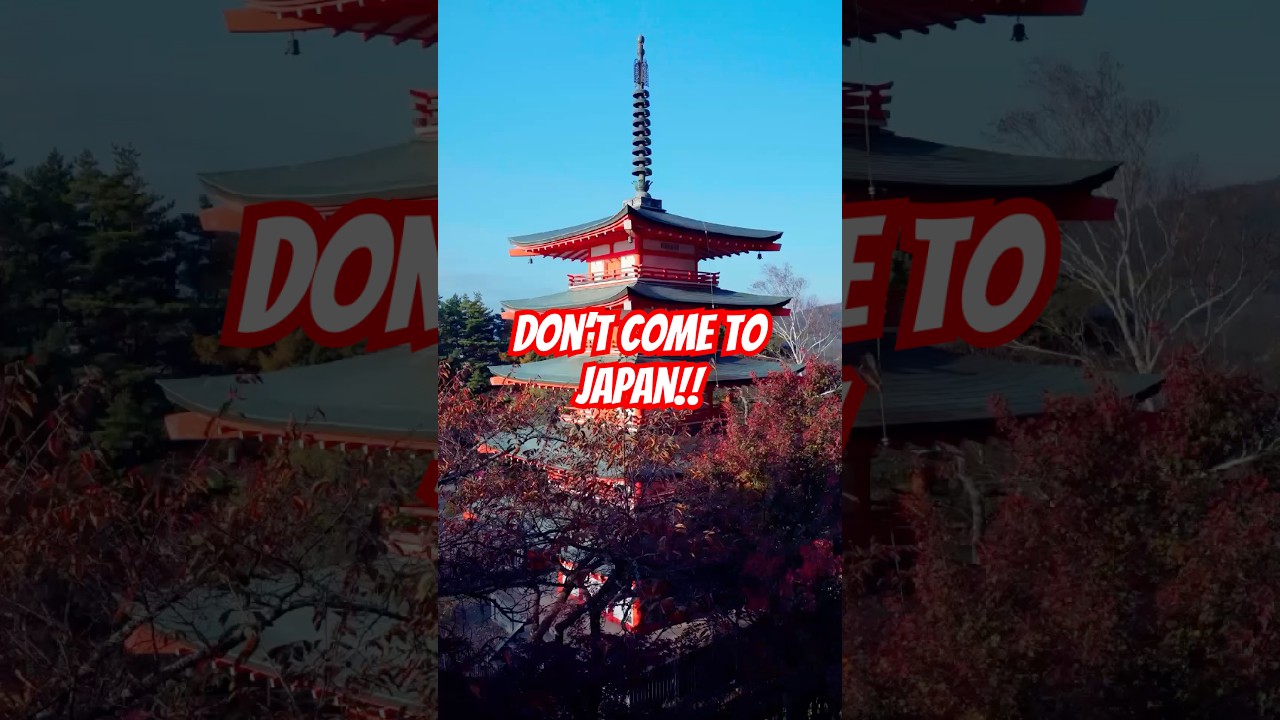 The REAL Pros and Cons of Visiting Japan