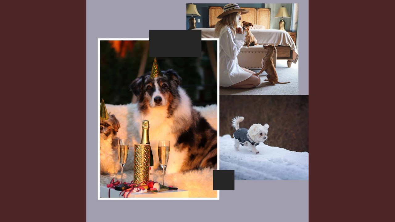 Background for Weekend with Dog