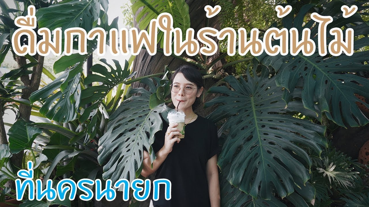 สวนป้าอินทร์ ร้านกาแฟที่ขายต้นไม้ @นครนายก #สวนป้าอินทร์ #ร้านกาแฟ