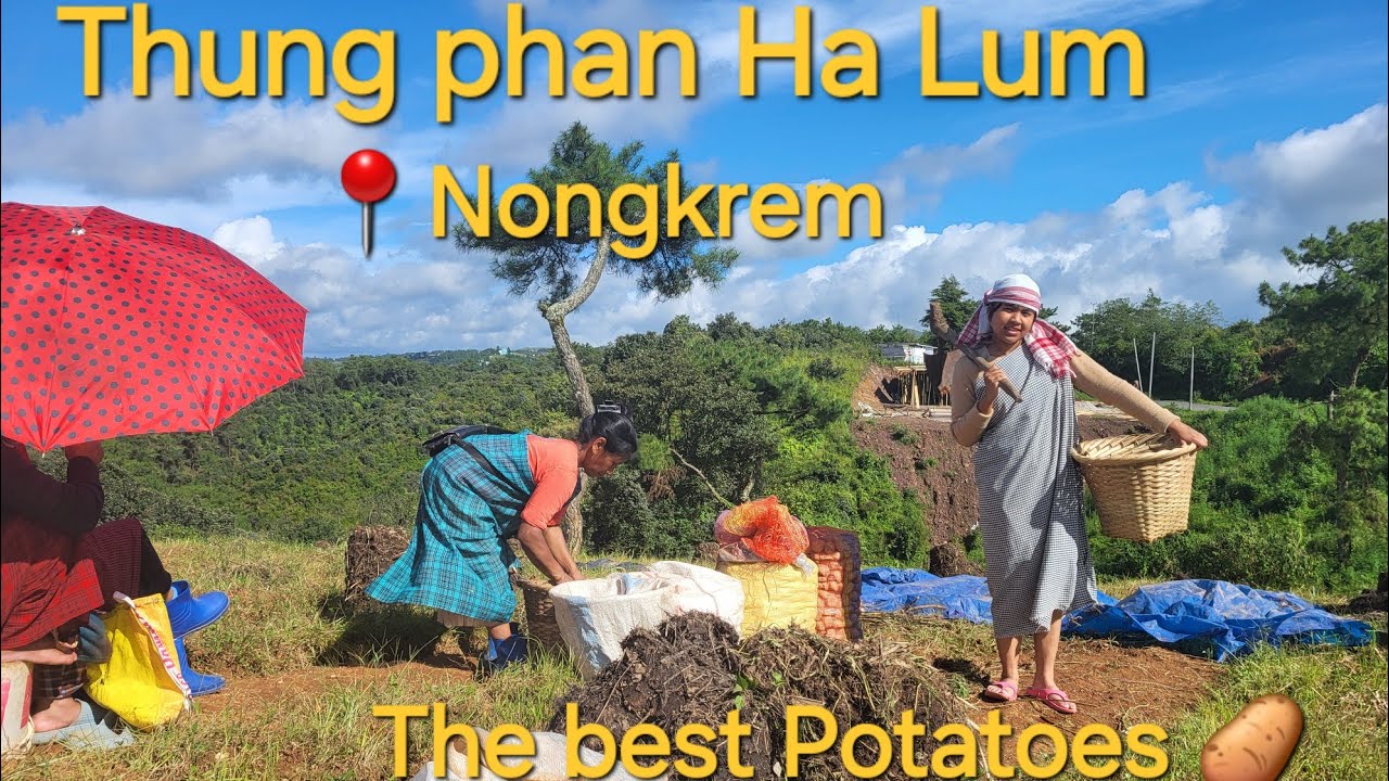 Kumno ban thung Phan🥔❤️🥰//How to grow potatoes//Airy vlog//Meghalaya//khasi girl
