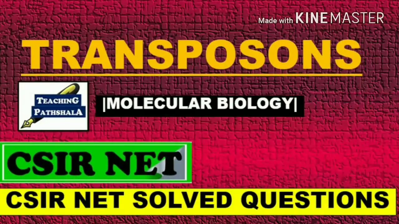 TRANSPOSONS AND ITS TYPE |CSIR NET|MOLECULAR BIOLOGY