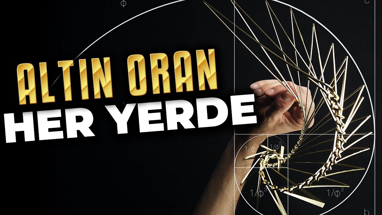 Altın Oran: Kutsal Bir Mesaj mı, Koca Bir Yalan mı?