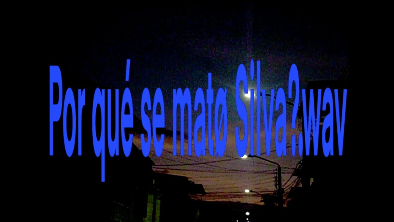 por qué se matø silva
