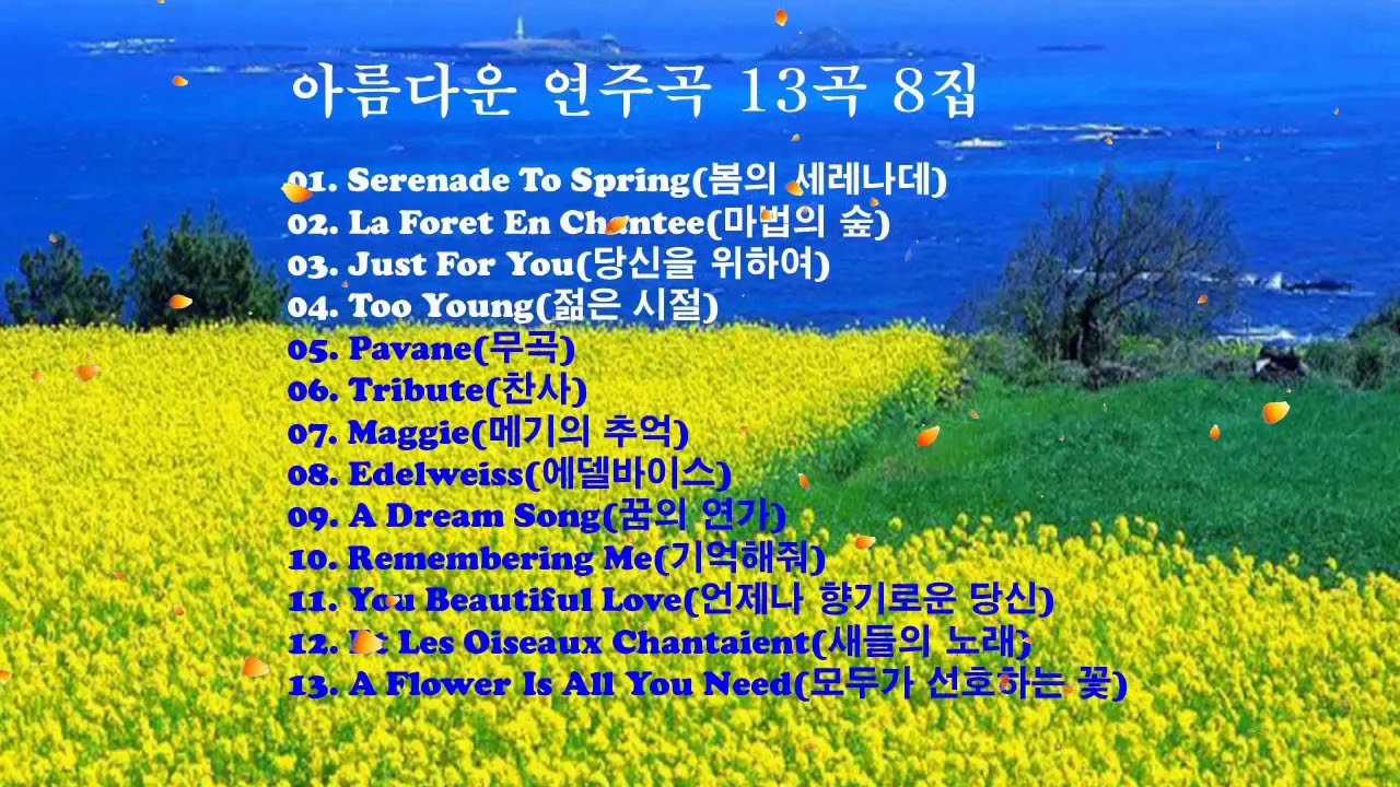 아름다운 연주곡 13곡 8집