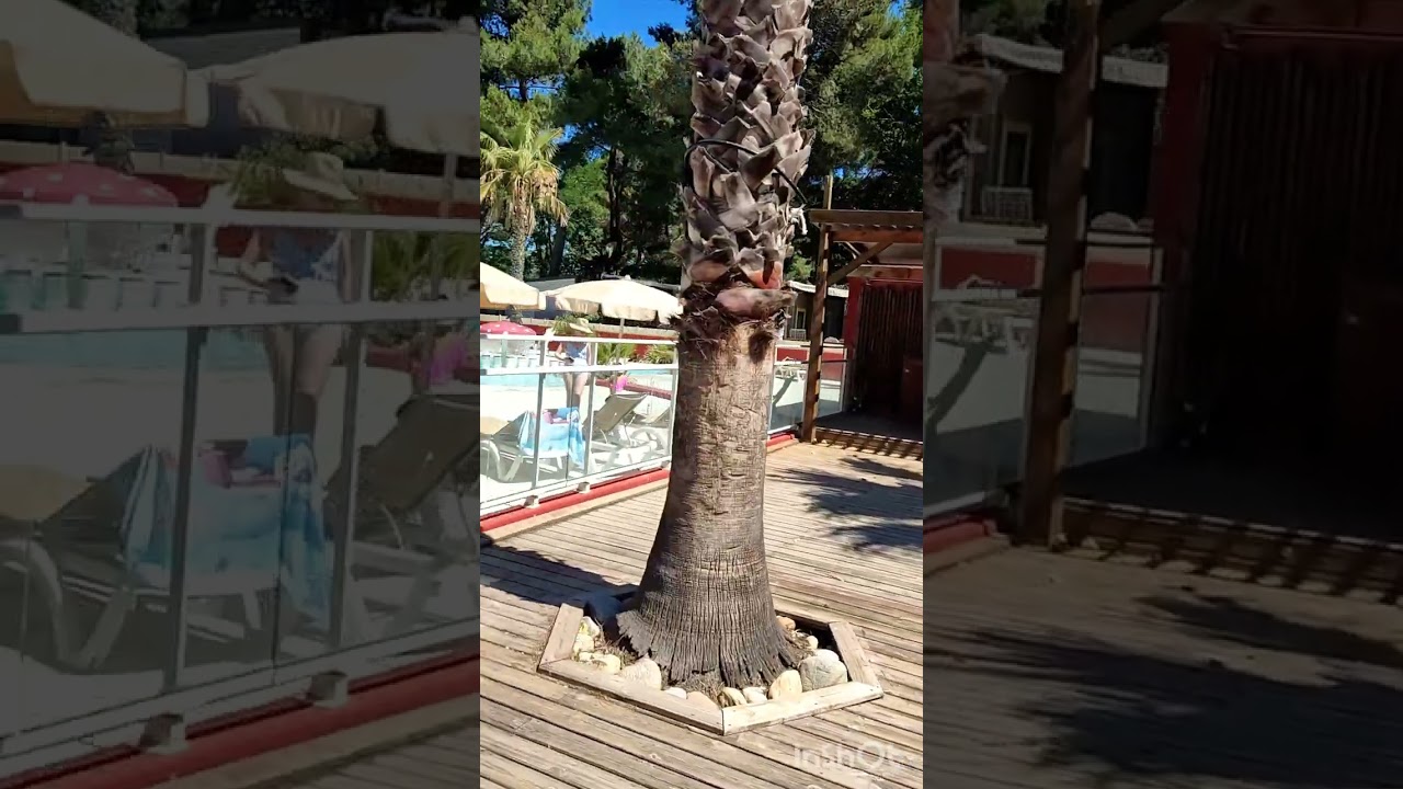 Camping La Marina du Canet 🌟🌟🌟🌟 a Canet en Roussillon ☀️