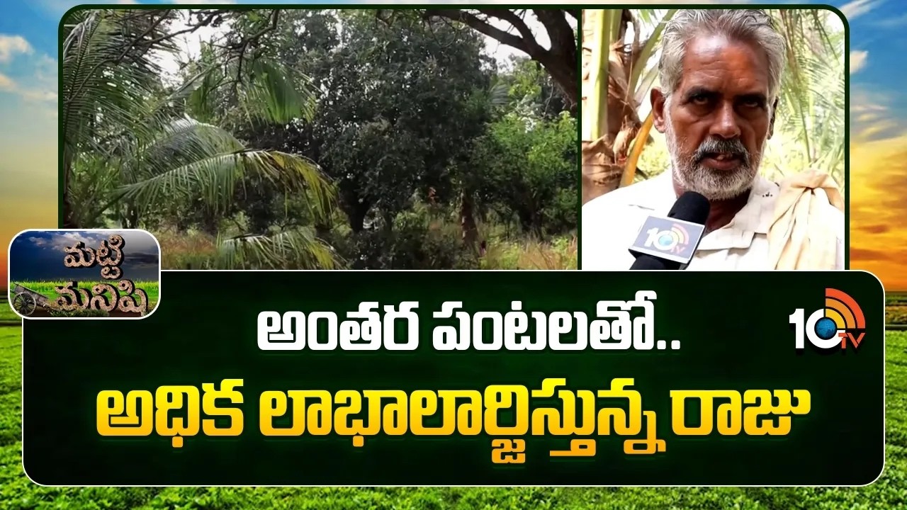 Farmer Success Story | Higher Profits with Intercropping |అంతర పంటలతో.. అధిక లాభాలార్జిస్తున్న రాజు