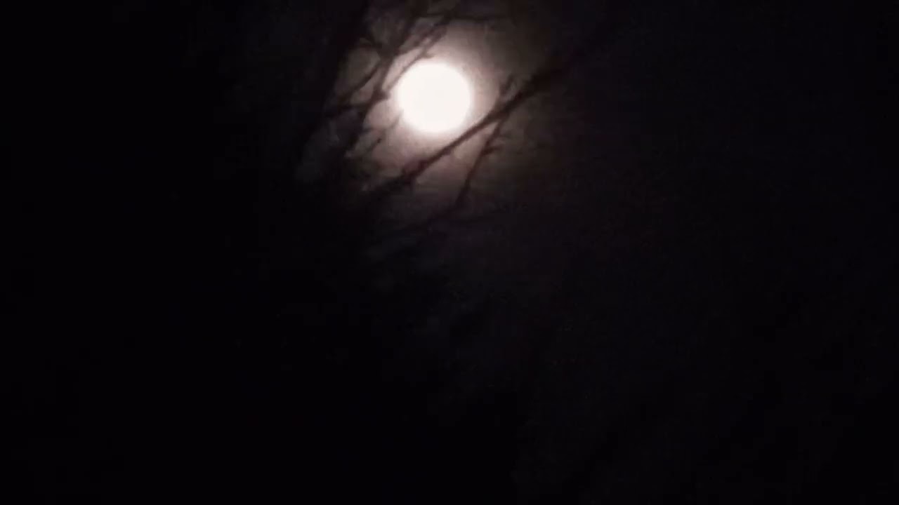 Last Look.👀❄️🌕