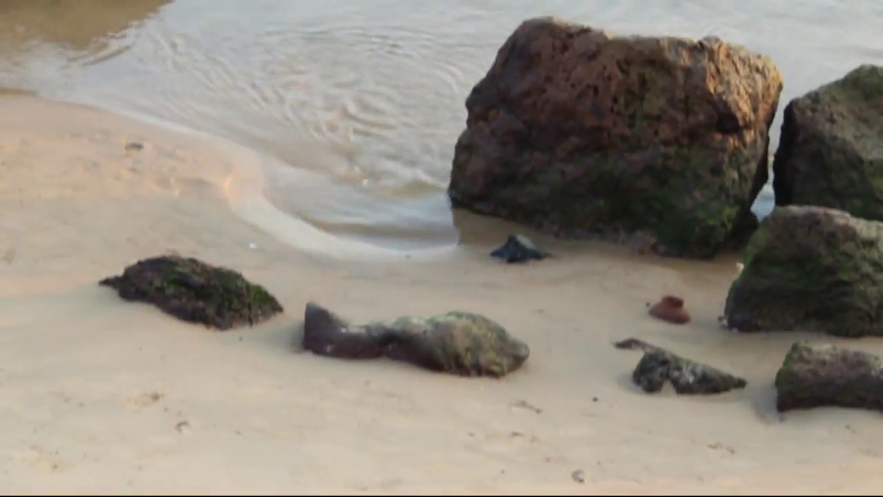 Kunkeshwar Beach