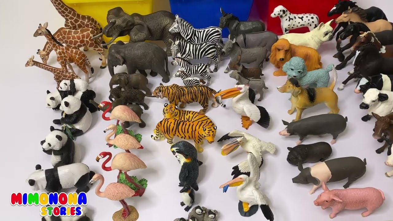 Familia de Animales 🐼🐯 Numeros del 1 al 5 - Videos Infantiles ✨ Mimonona Stories