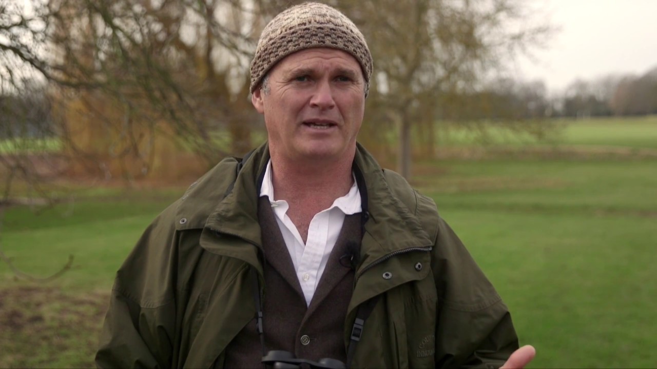 Simon King&rsquo;s top birdwatching tips for the #My200BirdYear challenge