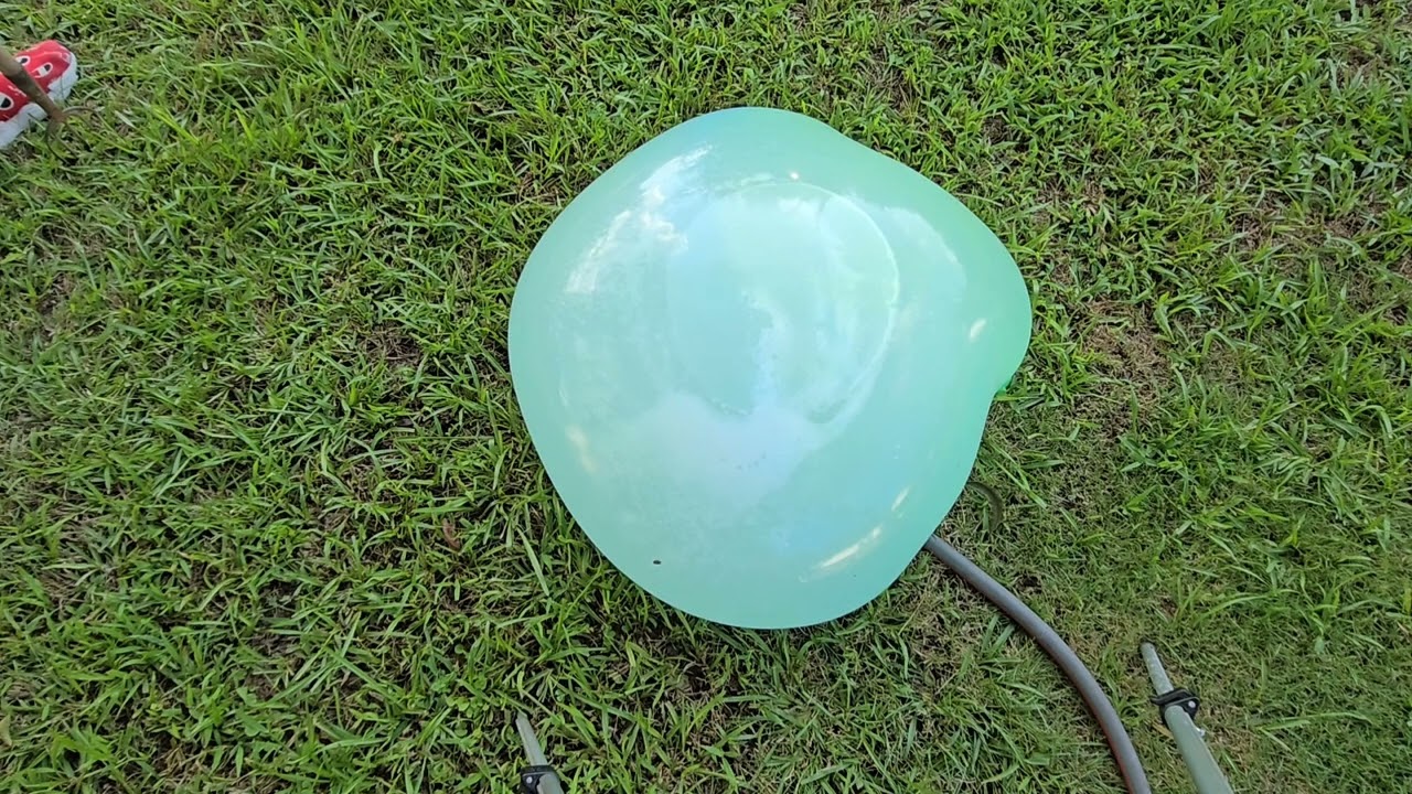 Big Stretchy Monkey filled with water: Will it pop or get popped!!!