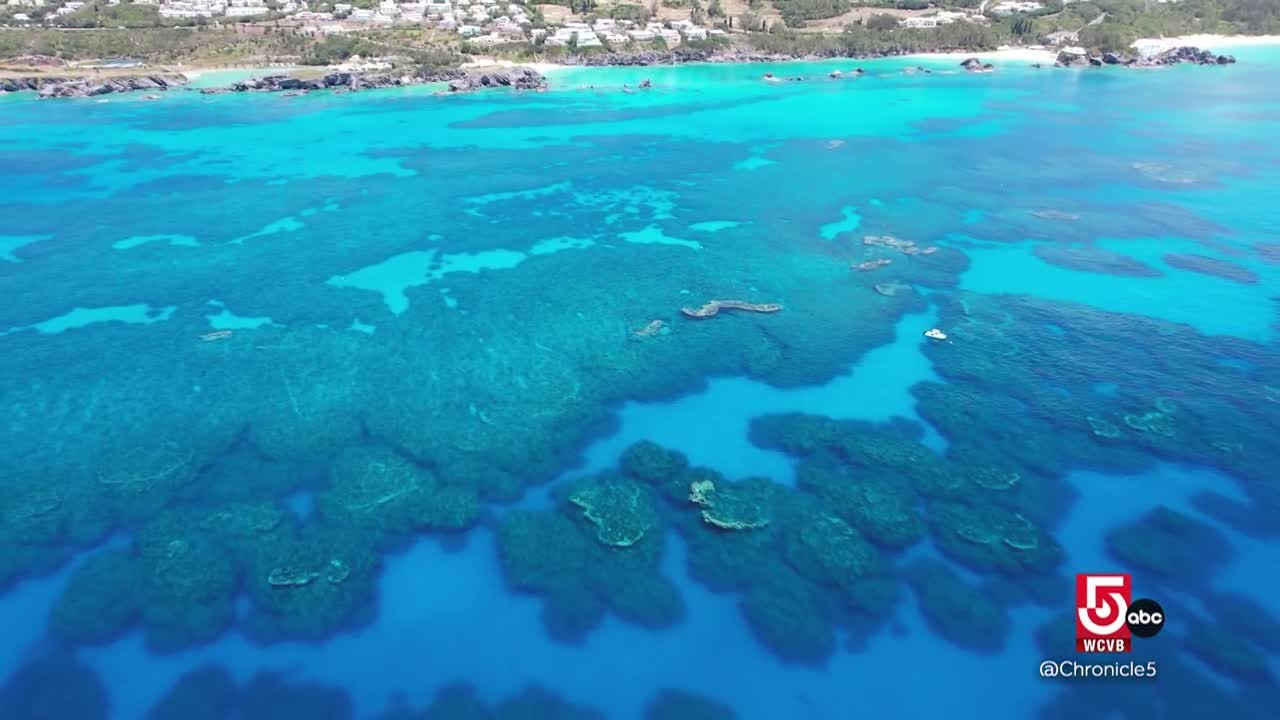 Bermuda’s secrets: rainwater rooftops, coral reefs, and wrecks