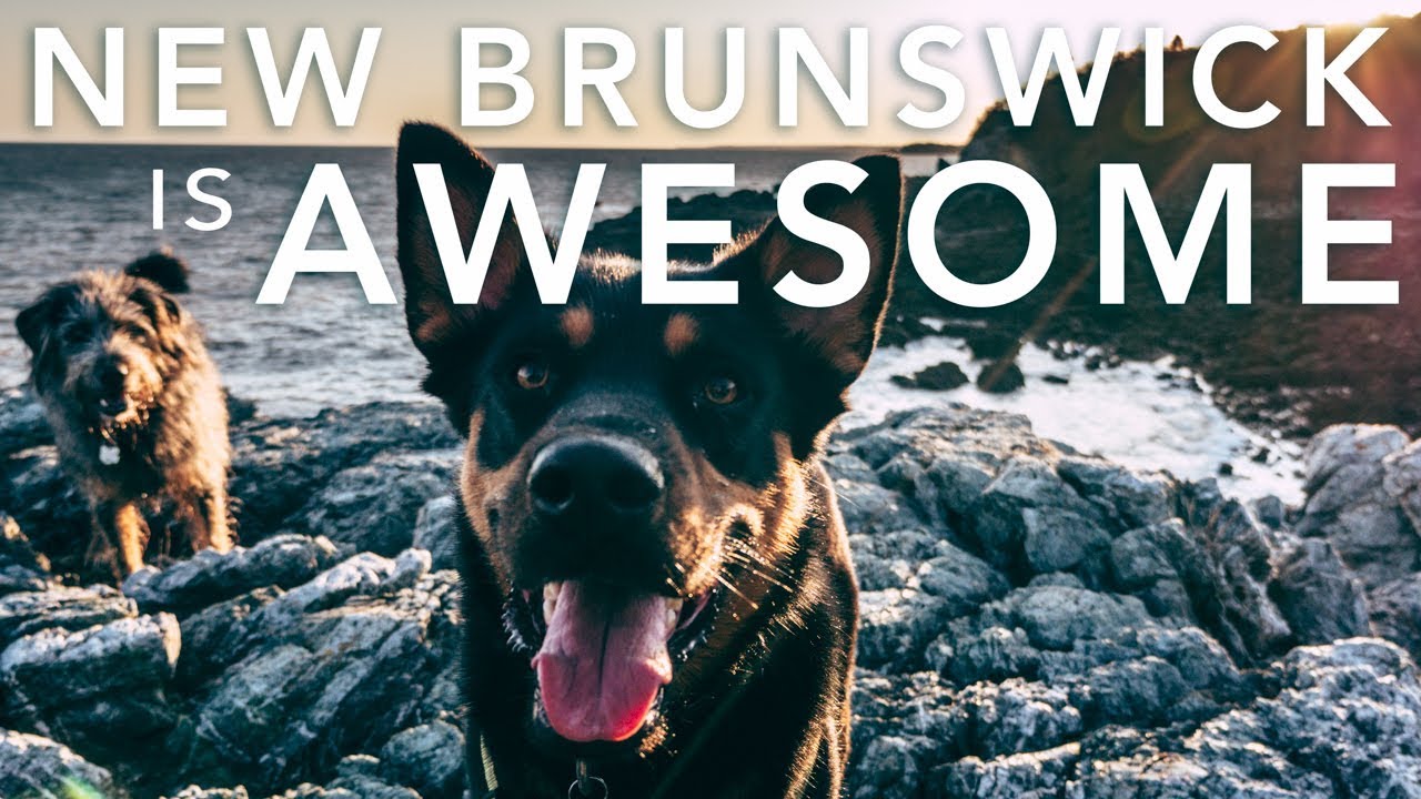 Can we talk about how awesome NEW BRUNSWICK is? | Split Rock Trail, New Brunswick, Canada