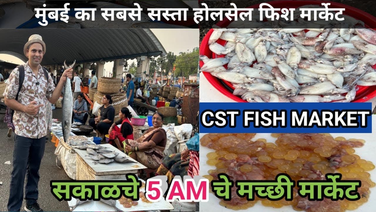 मुंबई का सबसे सस्ता होलसेल फिश मार्केट | Mumbai CST Fish Market | Wholesale Fish Market In Mumbai 
