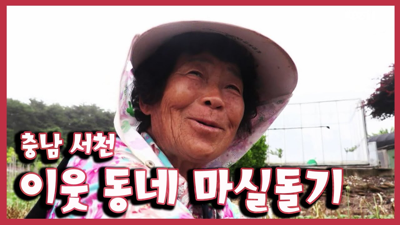 [남도지오그래피] 이웃 동네 마실돌기, 충남 서천 - 200609