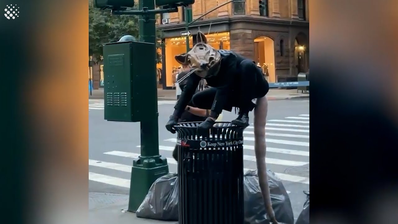 Street performer roams around NYC dressed as a giant rat