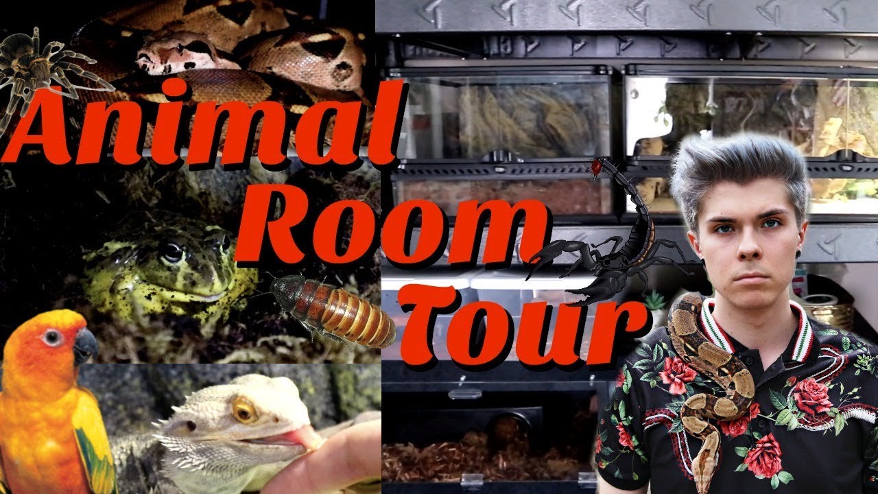 ANIMAL ROOM TOUR *Updated* | Tyler Rugge