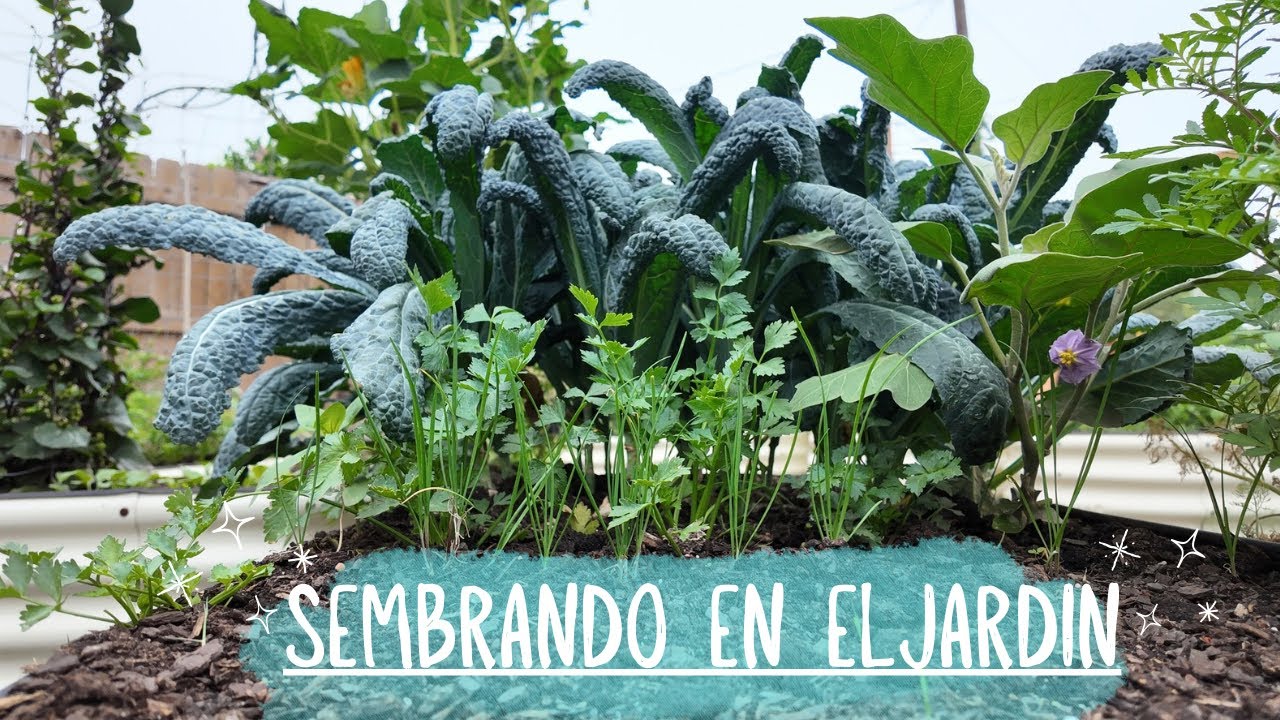 Sembrando en EL Jardin