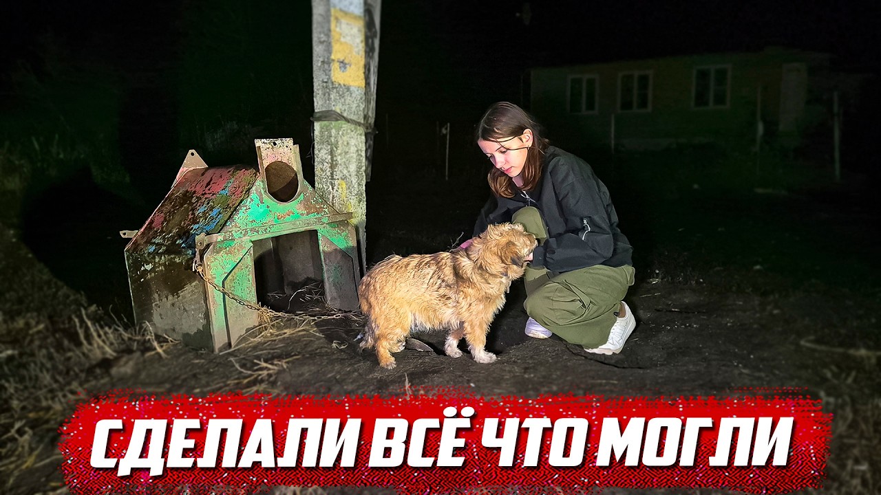 Сердце кровью обливалось | Курская обл, Щигровский р/н д.Желябовка