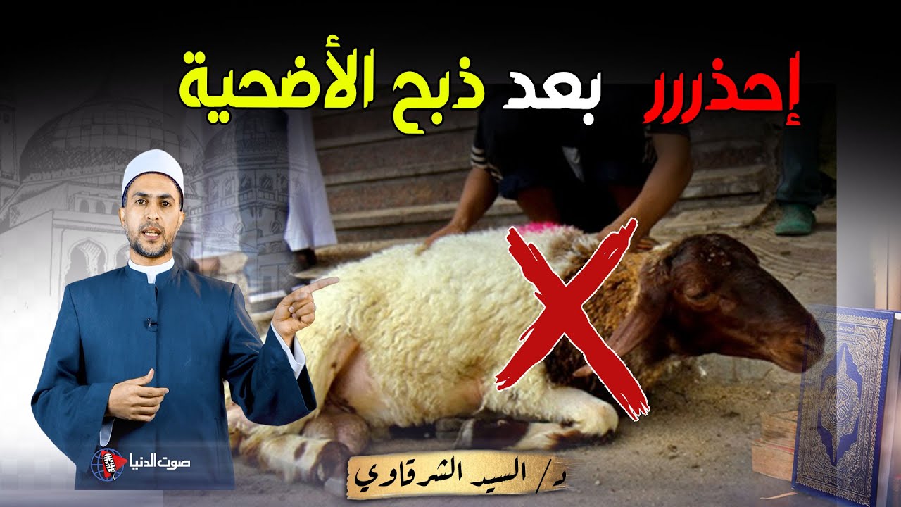 بعد الذبح مباشرة 3 أشياء لا تجوز بعد ذبح أضحية العيد ... احذر منها