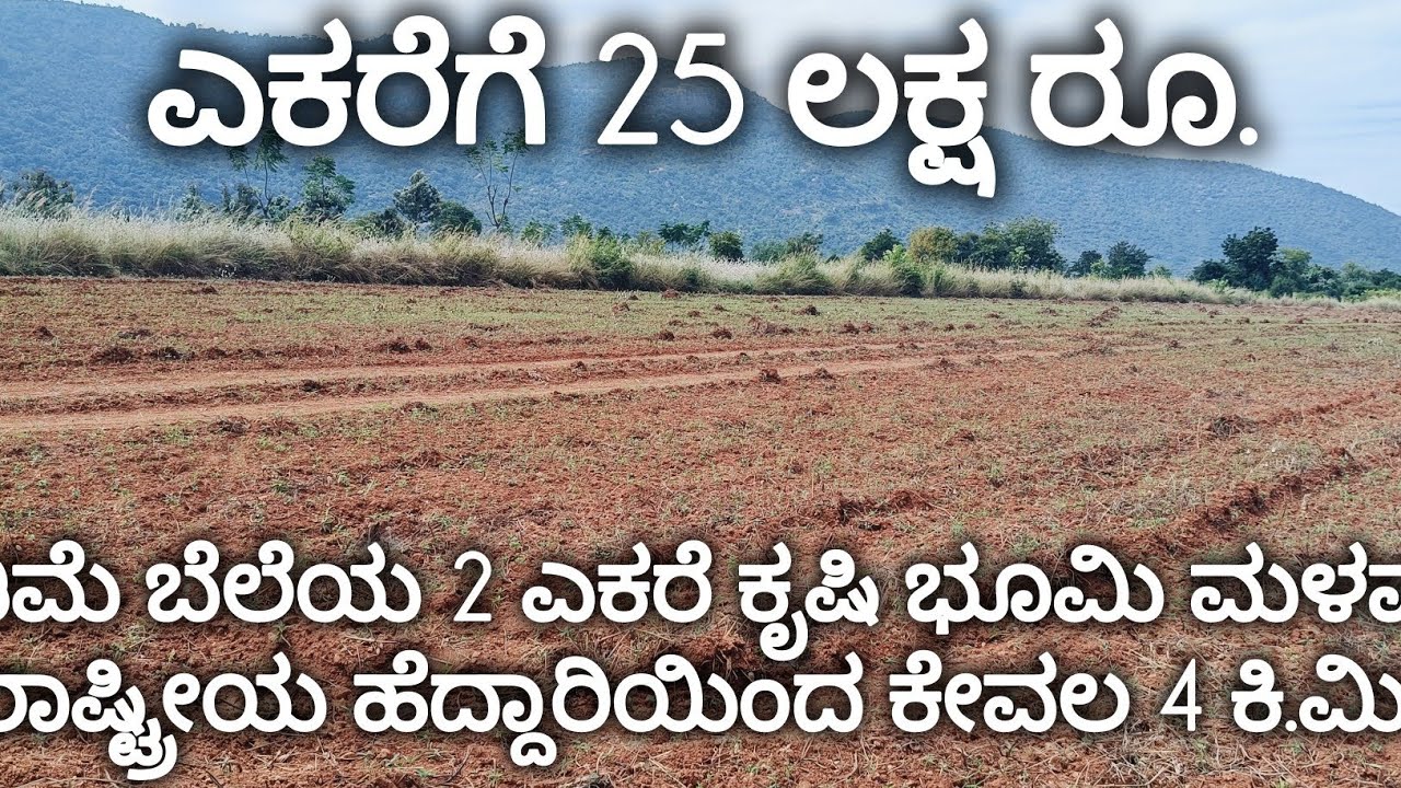 Low price agriculture land//110km Bangalore//malavalli//9513194244