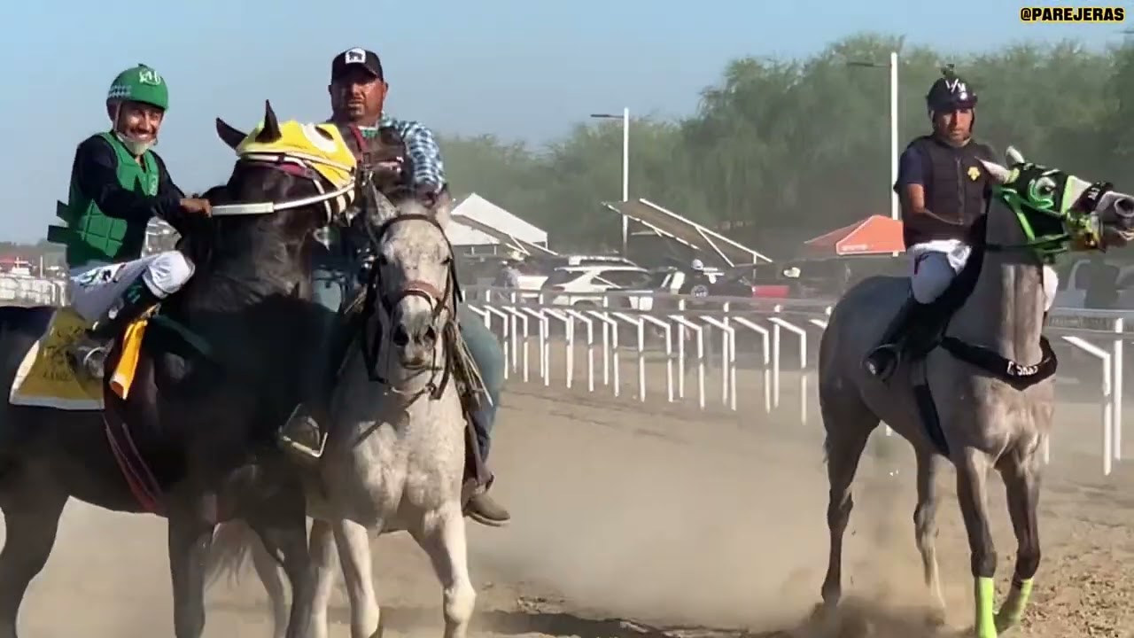 El abogado vs la mariposa 🍀rio verde race track🍀