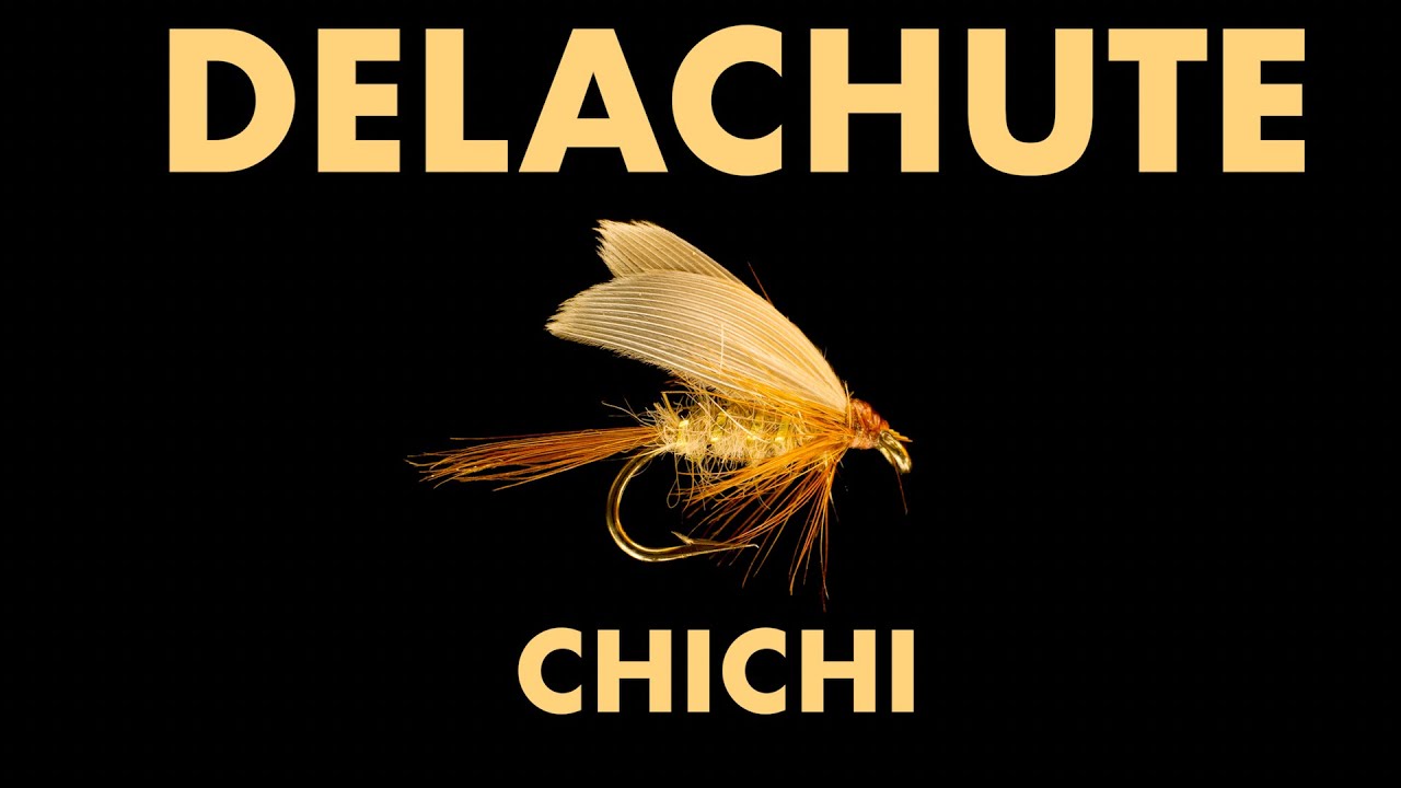 Delachute - Chichi (Official Lyric Video)