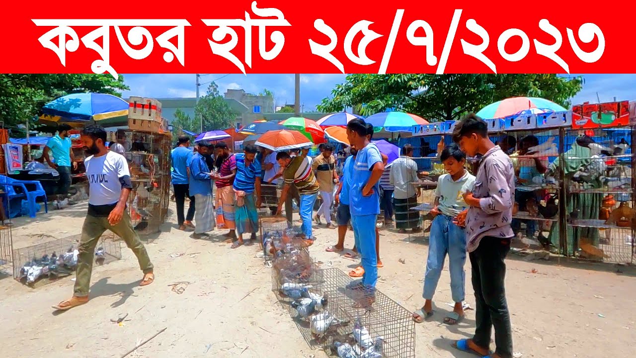 কবুতর হাট ২৫-৭-২০২৩ | kobutor hat 2023 | pigeon market in bangladesh | fotulla kobutor hat