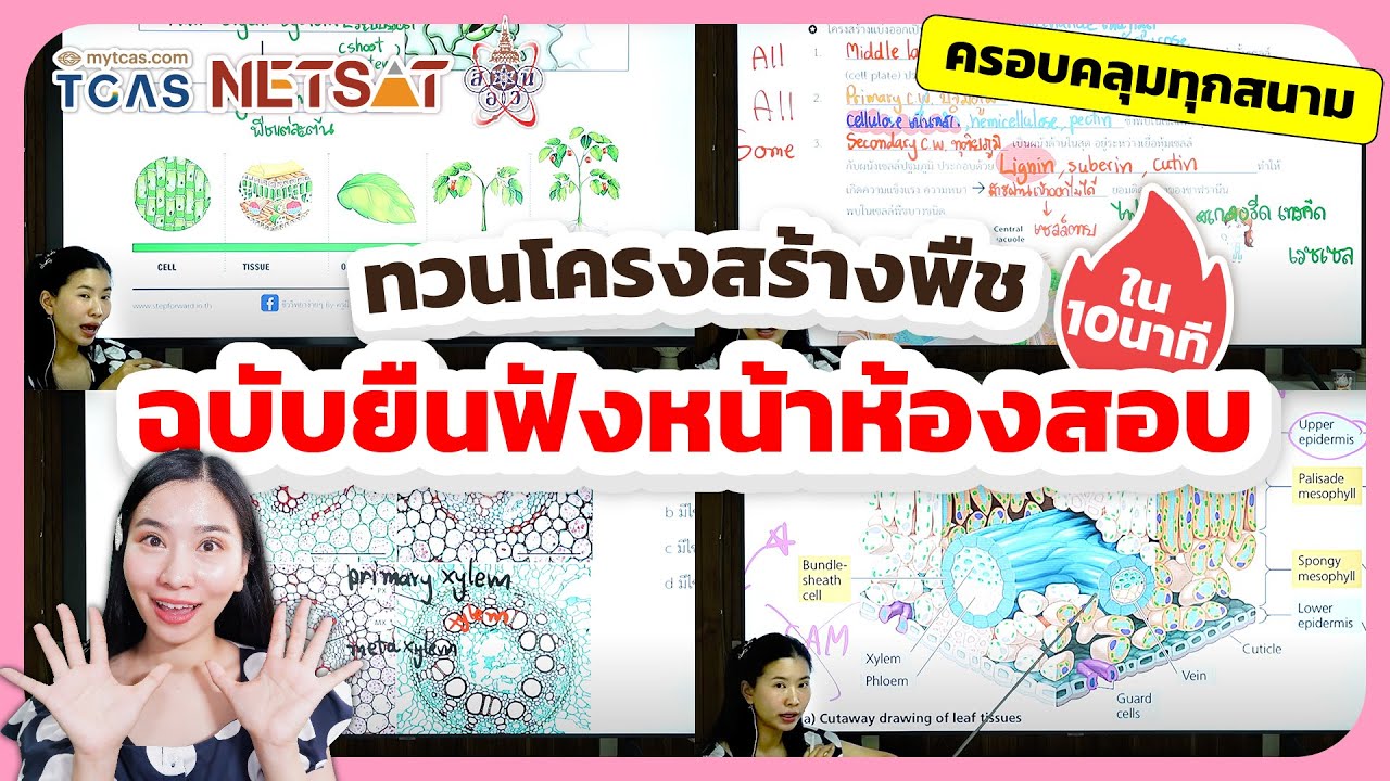 ทวนโครงสร้างของพืชแบบเร็วๆใน 10 นาที (Ver.ฟังหน้าห้องสอบ)