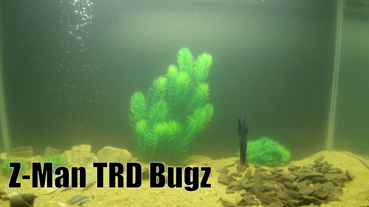 My Go To Shaky Head Baits-  Underwater View