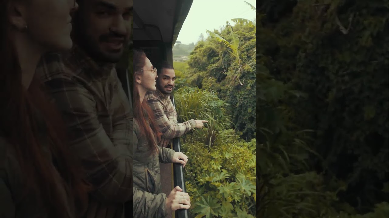 Comemorei meus 30 anos num dos passeios de trem mais lindos do Brasil! 🚂❤️ 