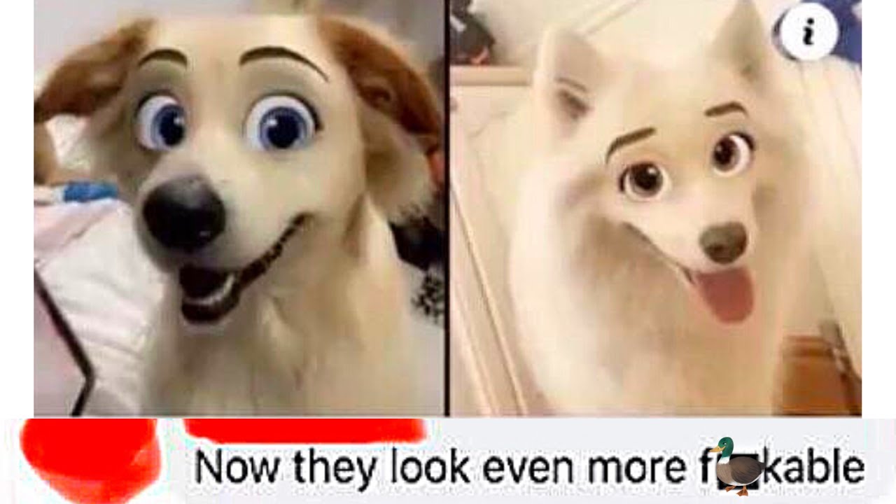CURSED COMMENTS V51