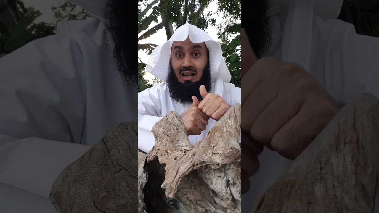 The Bitter Truth - Mufti Menk