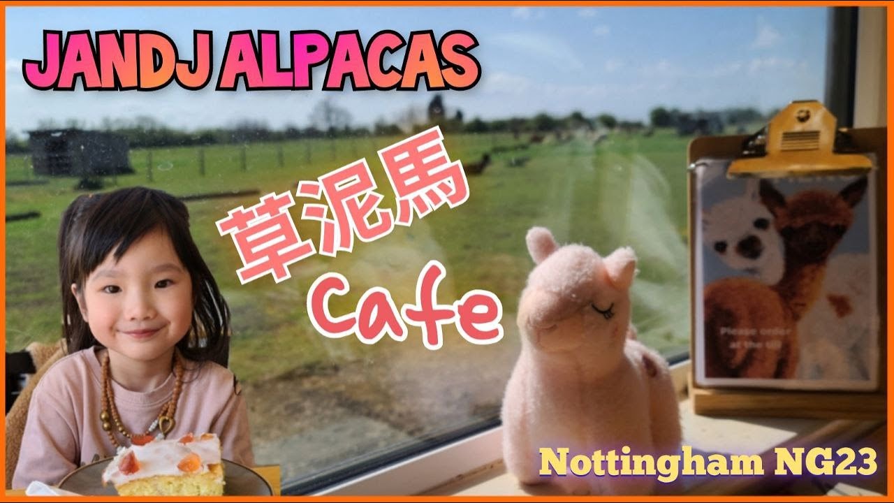 【UK #22-10】草泥馬CAFE | JandJ Alpacas | 英國諾定咸 Nottingham NG23
