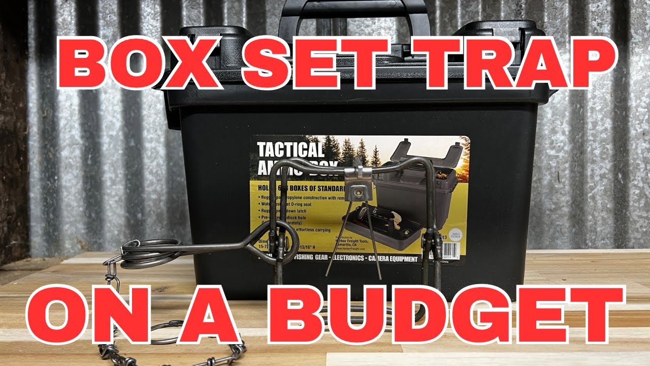 DIY Harbor Freight Mink Trap