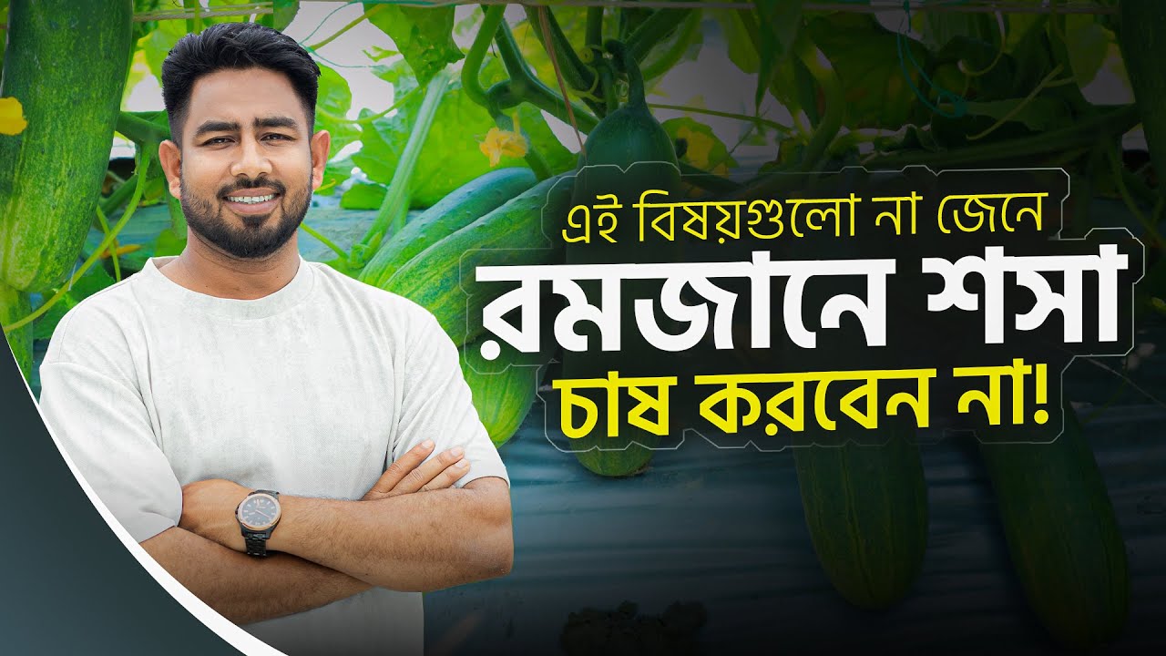 এই বিষয়গুলো না জেনে রমজানে শসা চাষ করবেন না | শসা চাষের A TO Z