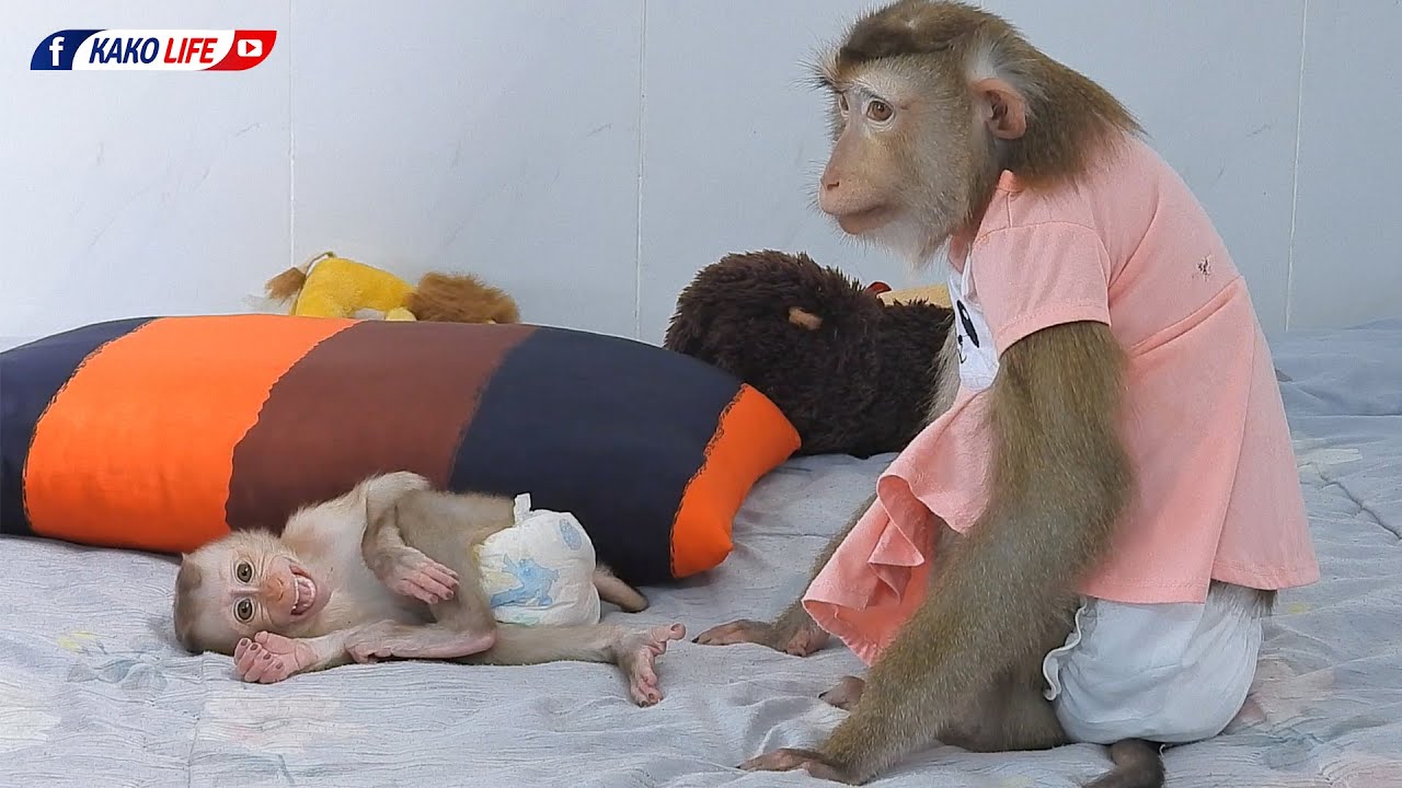 Baby Luka Need Attention From Mommy Luna When Sleepy With Hungry