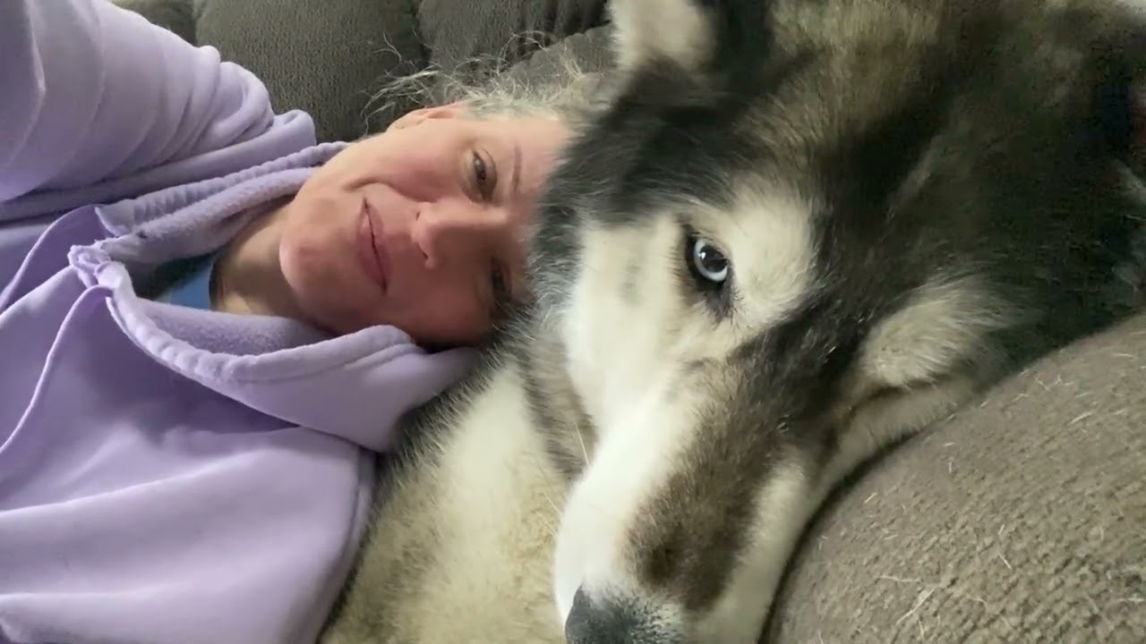 Big ole fluffy pillow