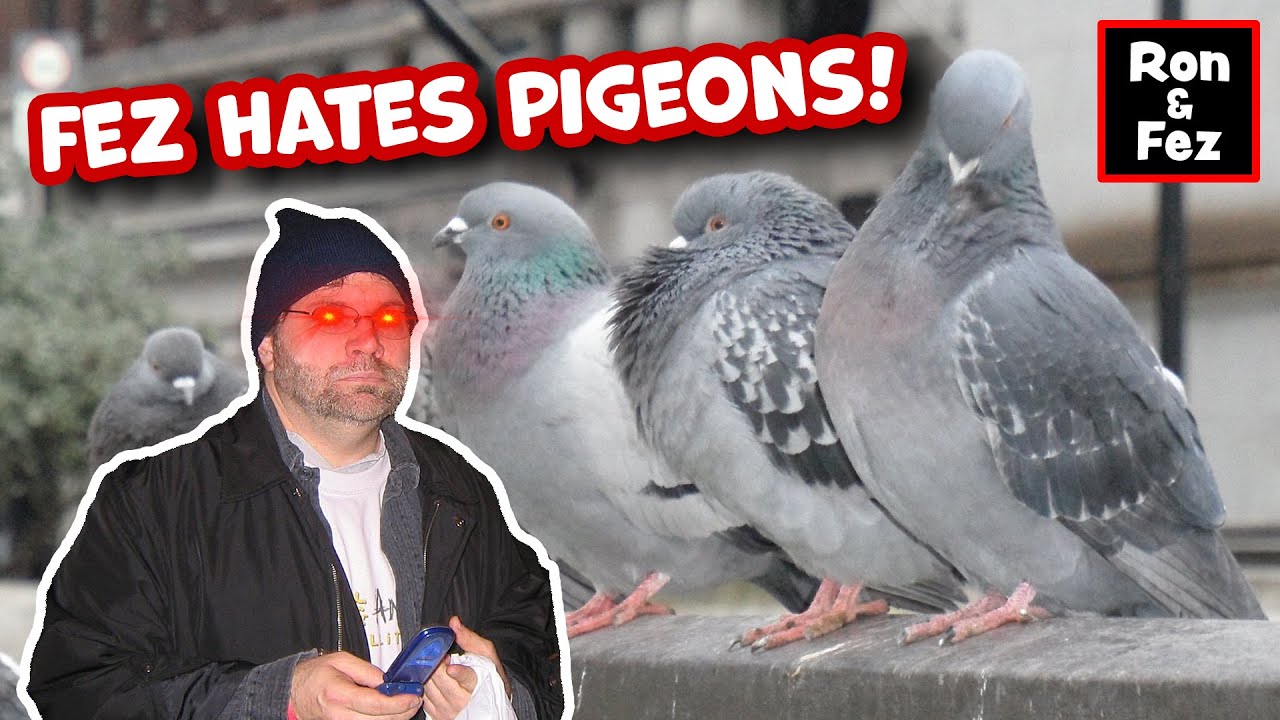 Ron and Fez - Fez HATES Pigeons and Dogs in Restaurants