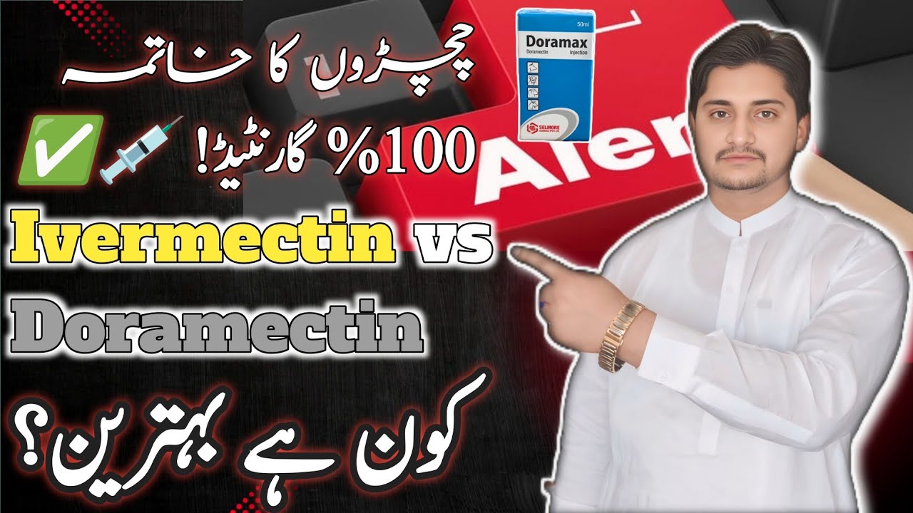 Ivermectin Vs Doramectin – Kon Sa Injection Behtar Hai? || Best injection For Ticks in Cattle