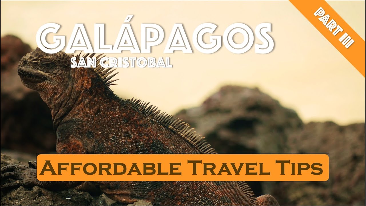 Galapagos Islands Travel Guide - SAN CRISTOBAL on a budget | 4k Vlog Part III ☀️🐟 #travelguide