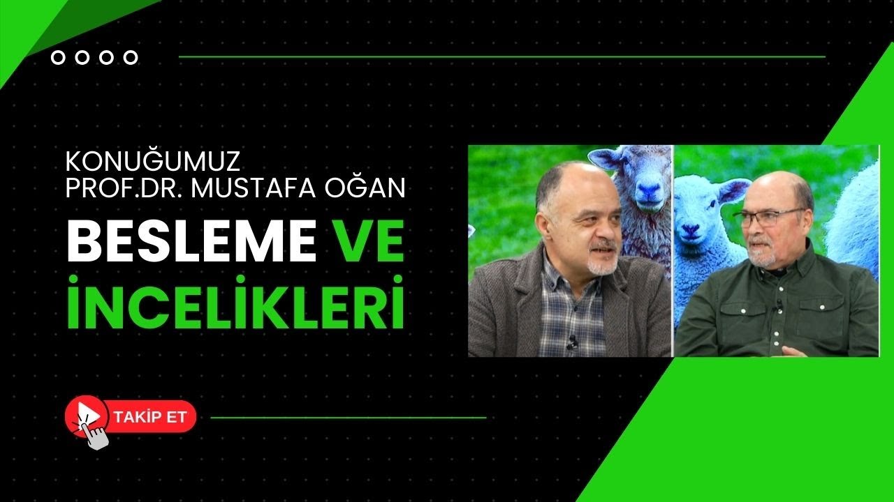 KÜÇÜKBAŞTA BESLEME VE İNCELİKLERİ | EROL ARSLAN'LA KÜÇÜKBAŞ SAĞLIĞI