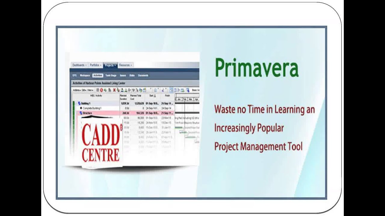 Primavera Training Institute In Nagpur