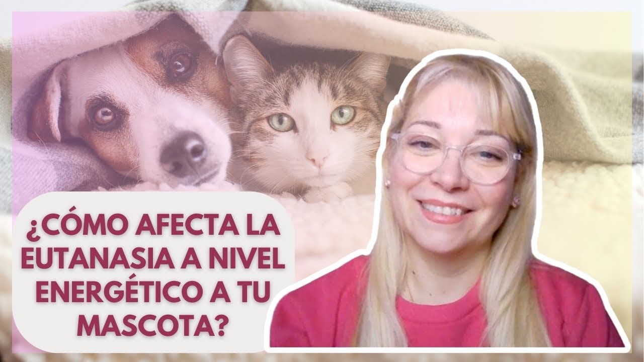 ¿Cómo afecta la eutanasia a nivel energético a tu mascota?