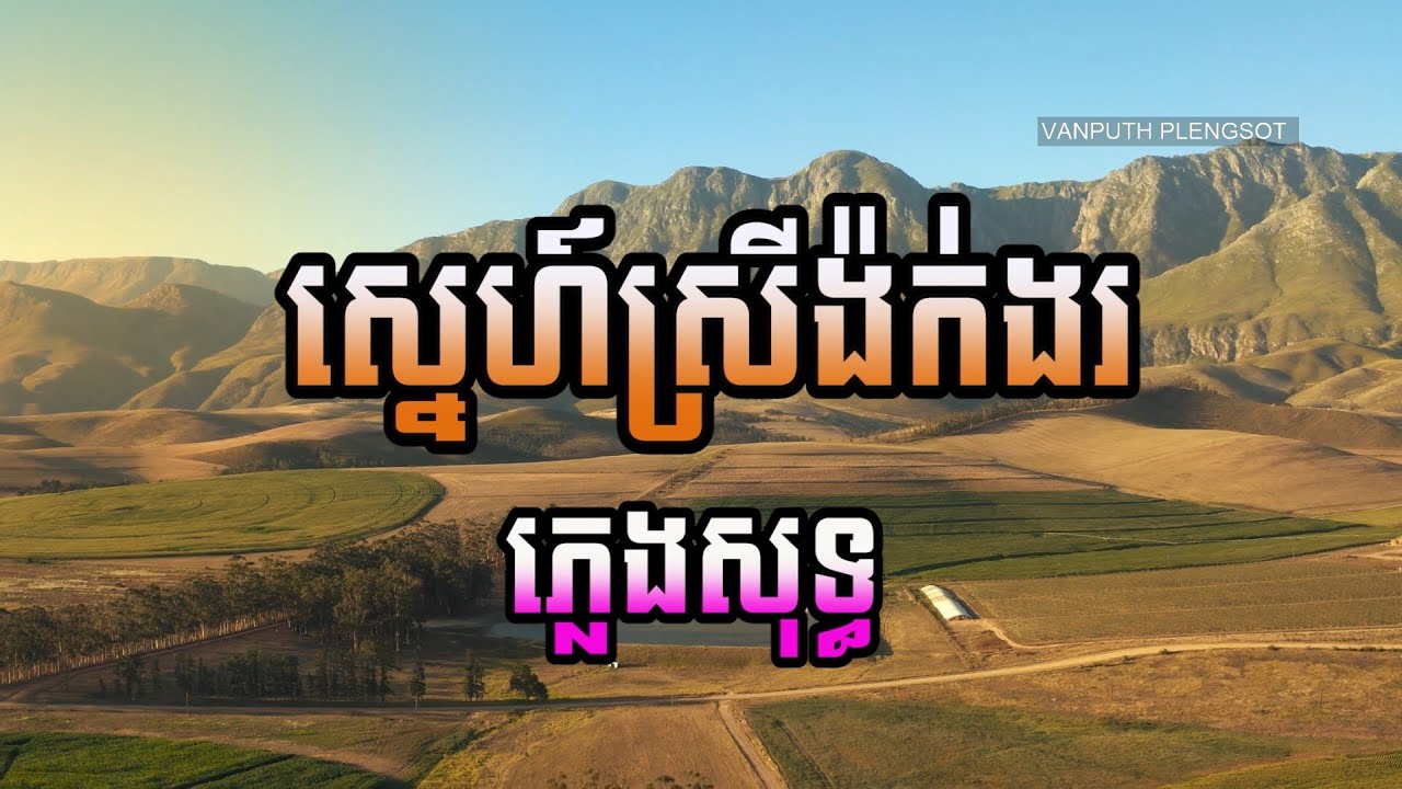 ស្នេហ៍ស្រីង៉ក់ងរ ភ្លេងសុទ្ធ បទប្រុស| Karaoke | Plengsot |VAN PUTH PLENGSOT|នៅក្នុងលោកា karaoke cover