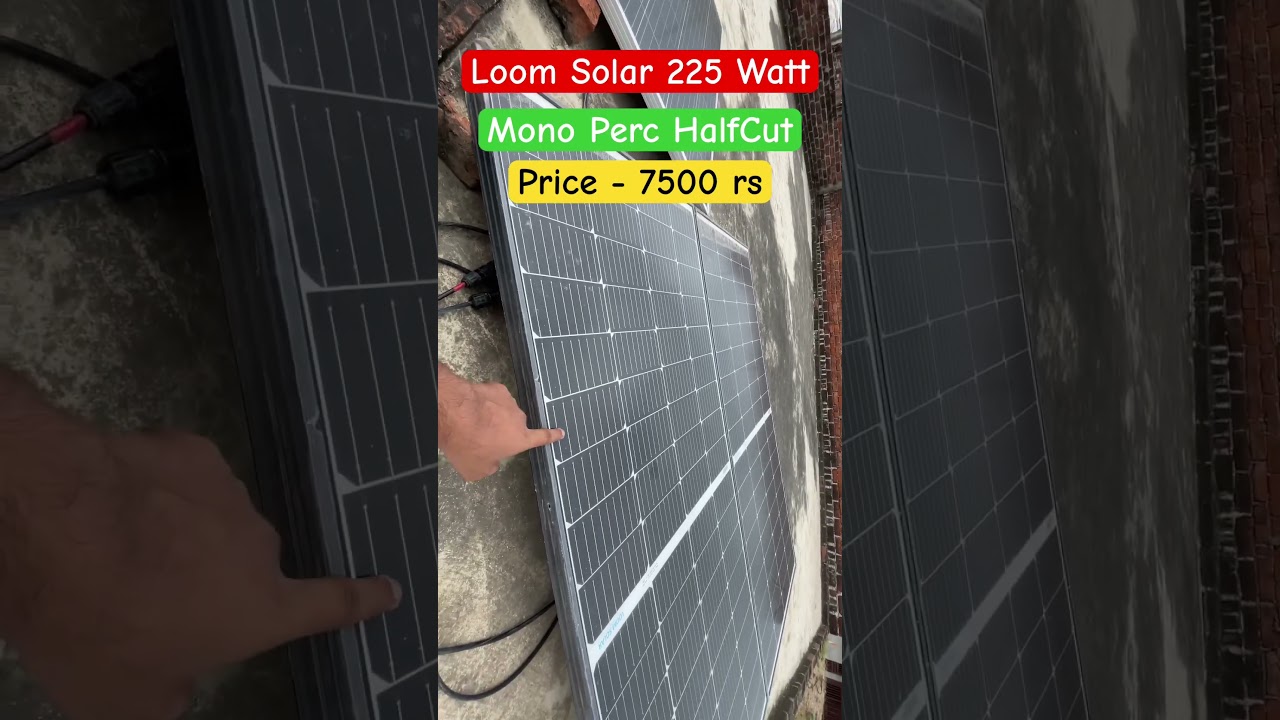 Loom Solar : 225 Watt Mono Perc Half cut Solar Panel Price #solarpanel #loomsolar #solarpower